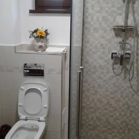 Pensiunea In Poiana *