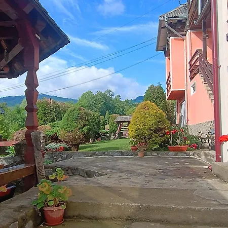 Pensiunea In Poiana Guest house *