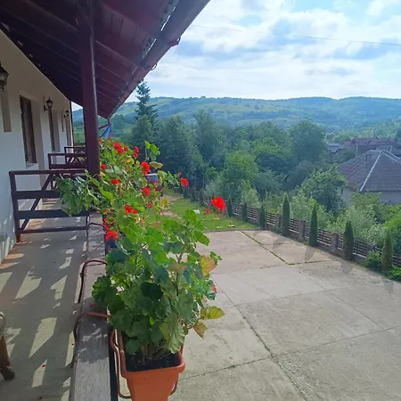 Pensiunea In Poiana Guest house *