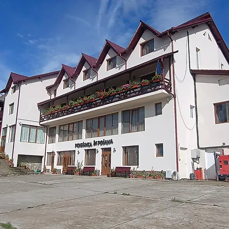 Pensiunea In Poiana Guest house